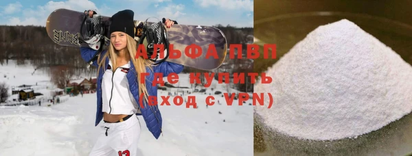 стаф Алзамай