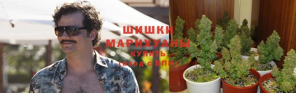 гидра Алексин