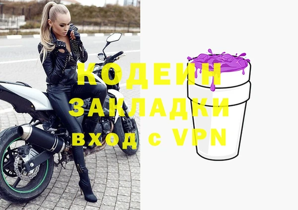 стаф Алзамай