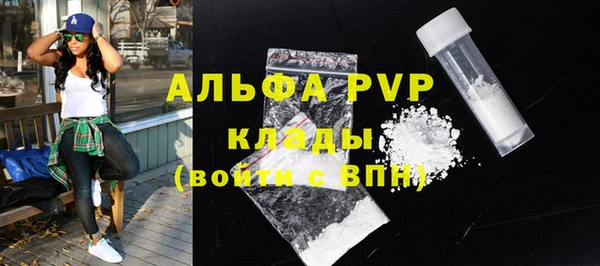 прущие грибы Нефтегорск